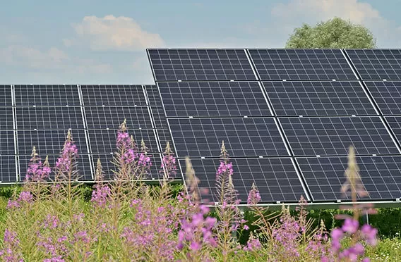 Optimera din energi med pv solcellsteknik Optimera din energi med pv solcellsteknik - Typer av Solceller