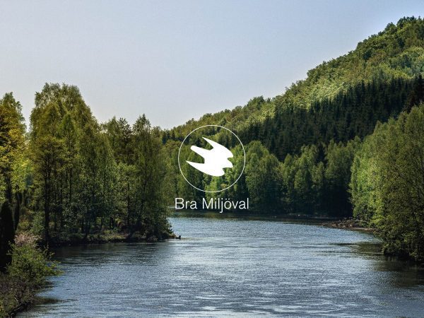 Hur påverkas miljön av vattenkraft: Fördelar och nackdelar för hållbar energi - Miljöpåverkan och Regleringar